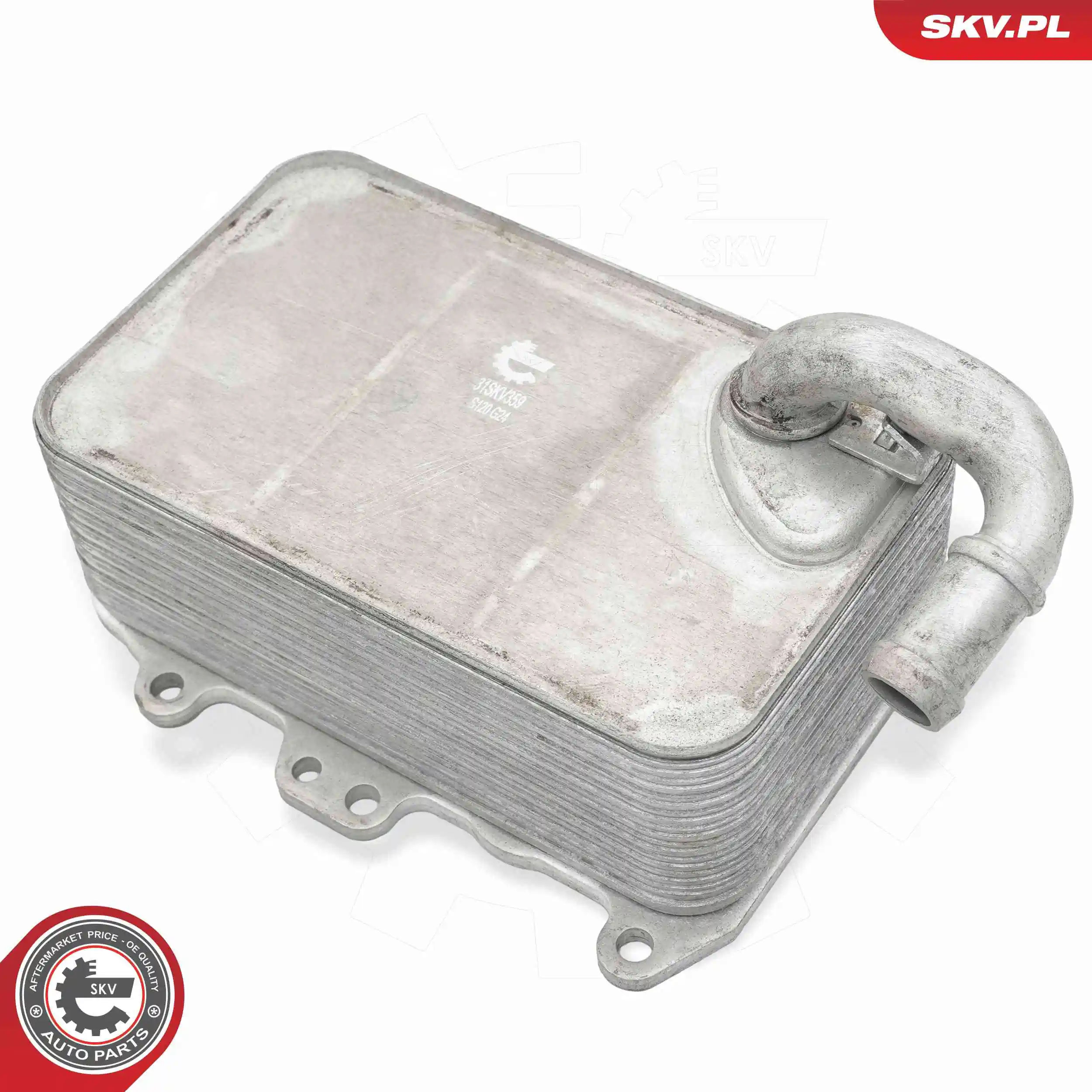 Oil Cooler, engine oil 31SKV359