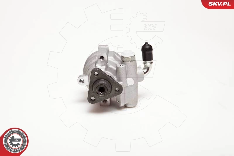 Hydraulic Pump, steering 10SKV003