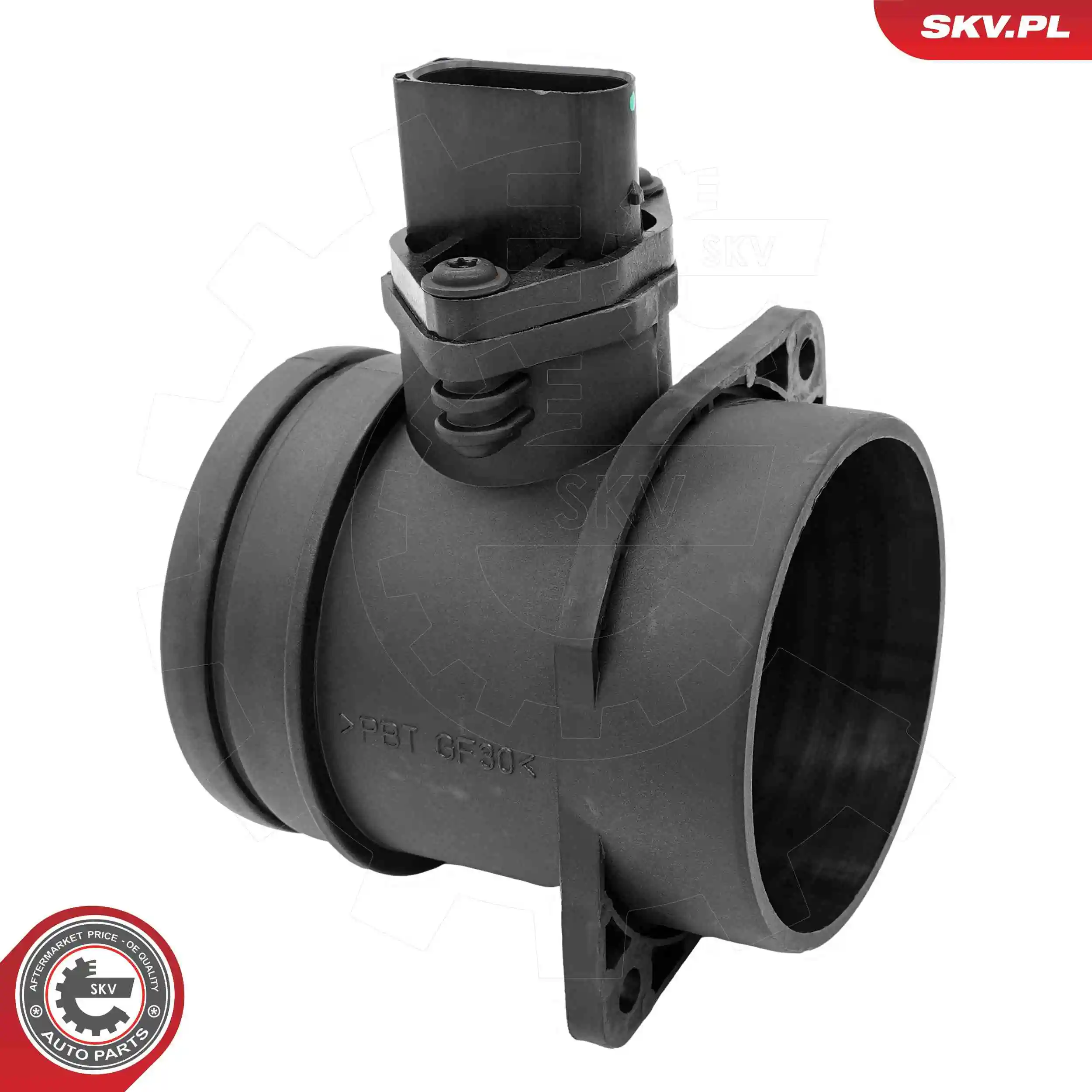 Mass Air Flow Sensor 07SKV313