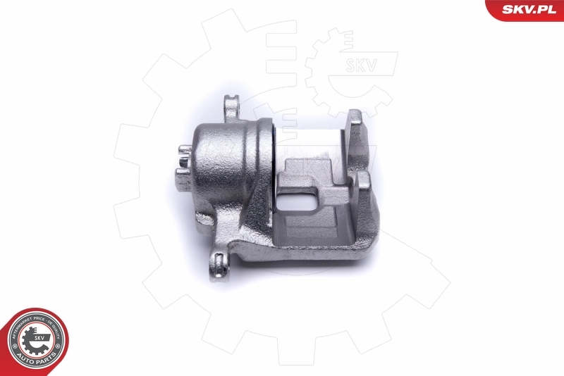 Brake Caliper 50SKV421