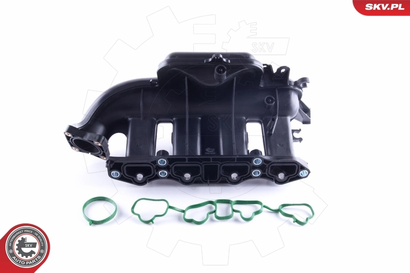 Intake Manifold Module 49SKV058