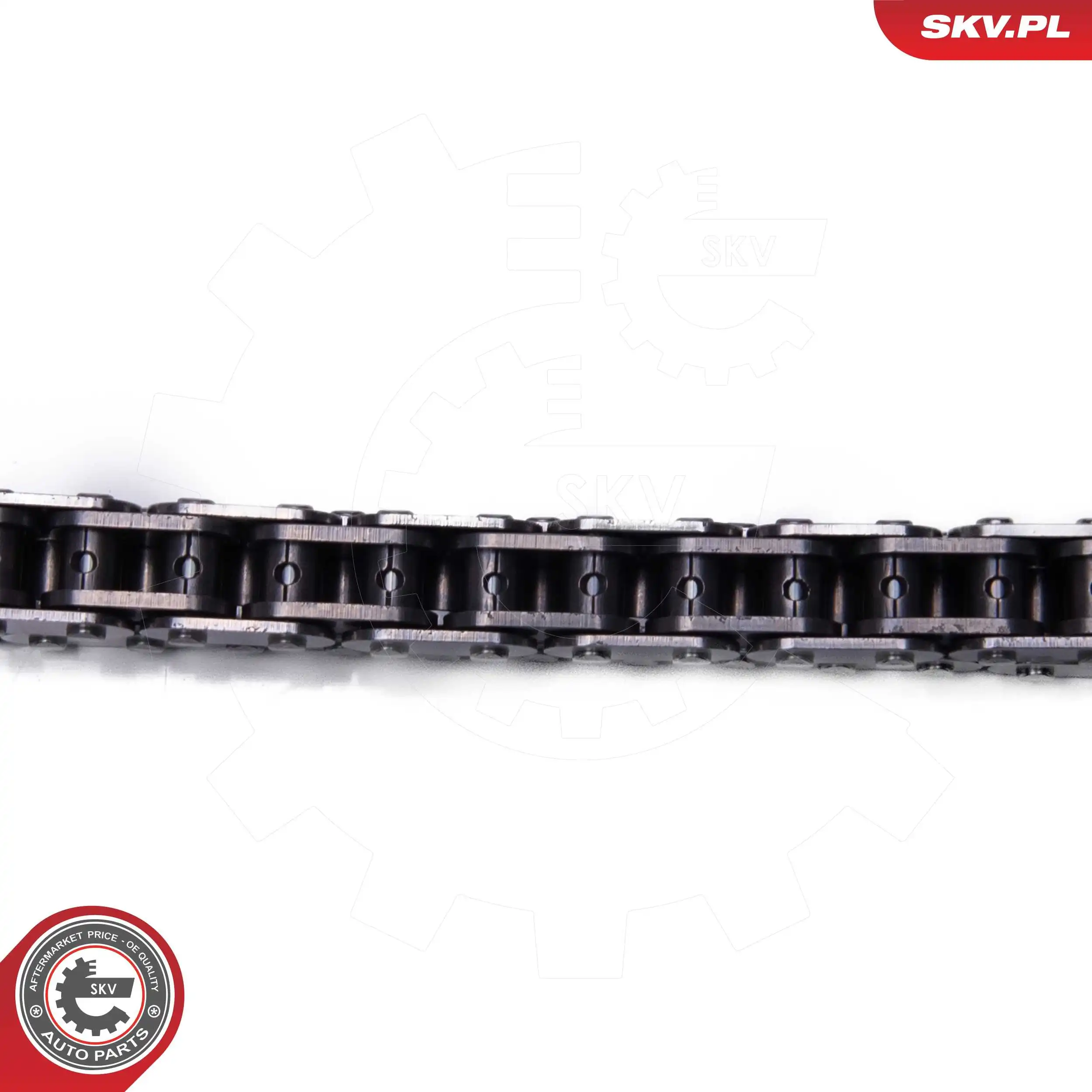 Timing Chain Kit 21SKV255