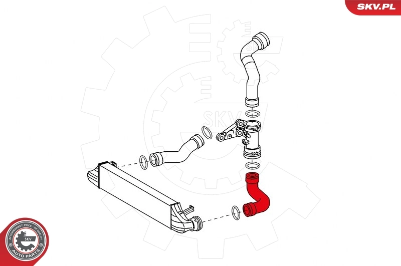 Charge Air Hose 24SKV620