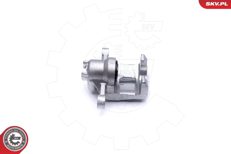 Brake Caliper 42SKV564