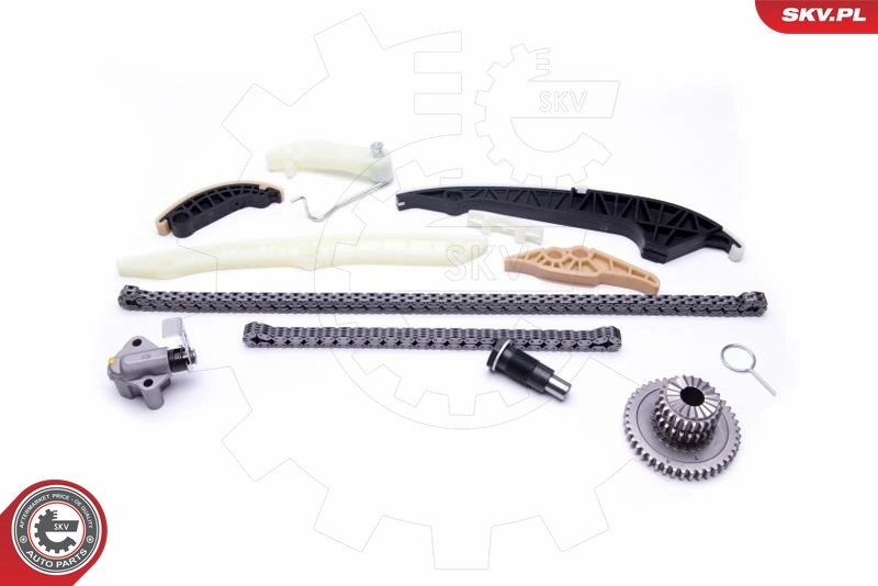 Timing Chain Kit 21SKV161