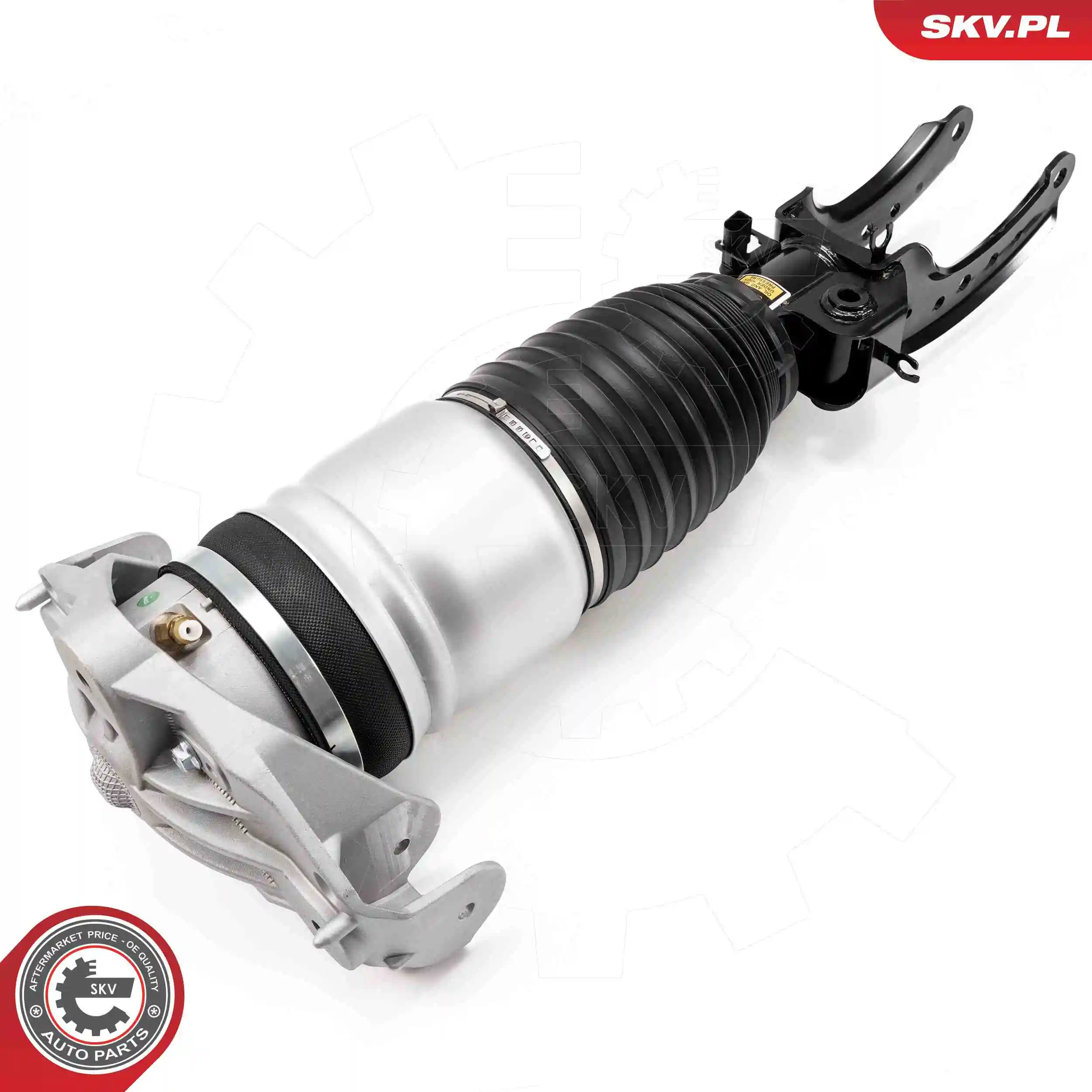 Air Suspension Strut 58SKV703
