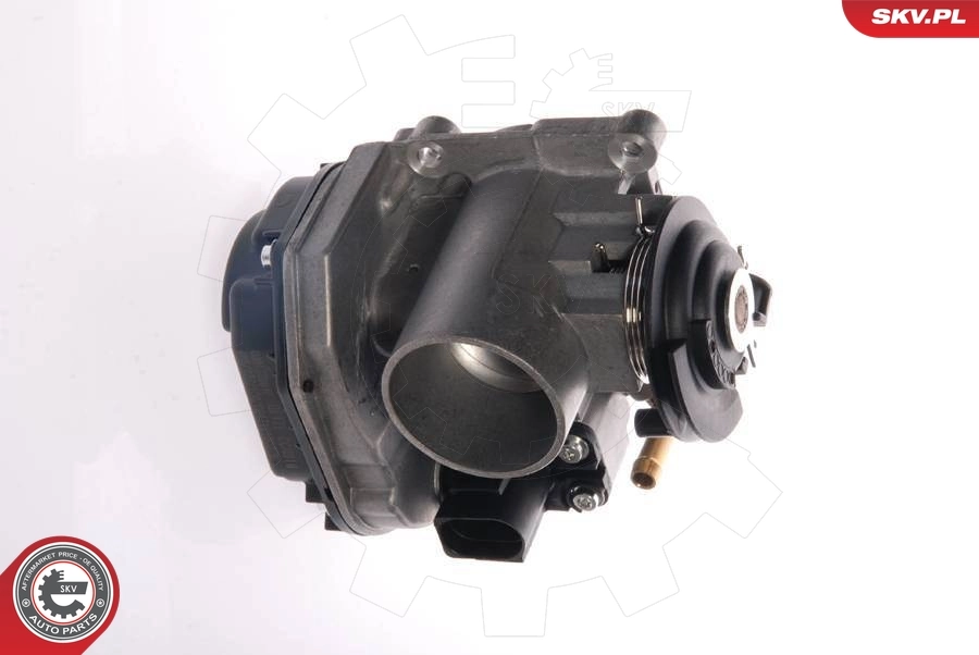 Throttle Body 12SKV015