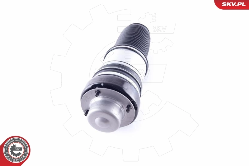 Air Spring, suspension 58SKV044