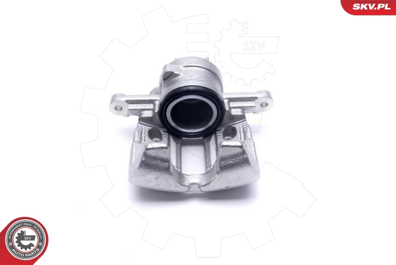 Brake Caliper 55SKV721