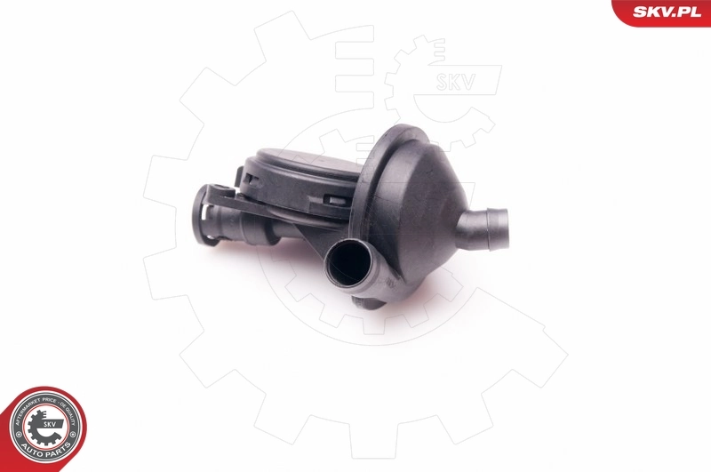 Separador de aceite, ventilación del cárter 31SKV041