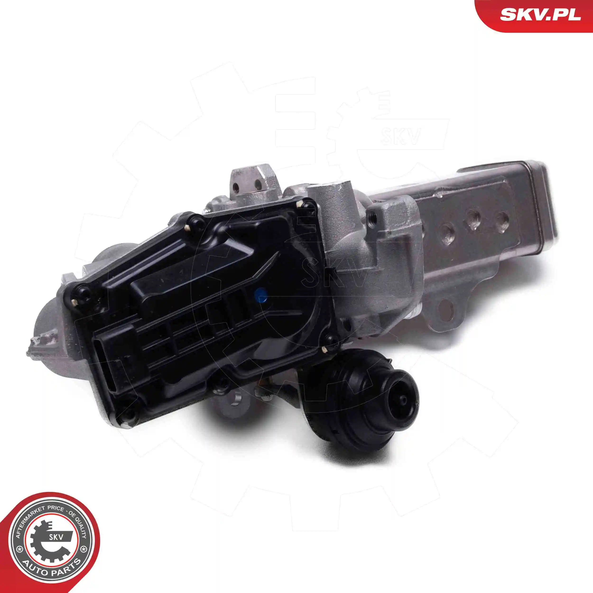 EGR Valve 14SKV241