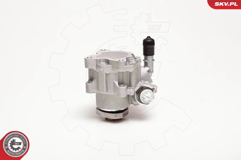 Hydraulic Pump, steering 10SKV110