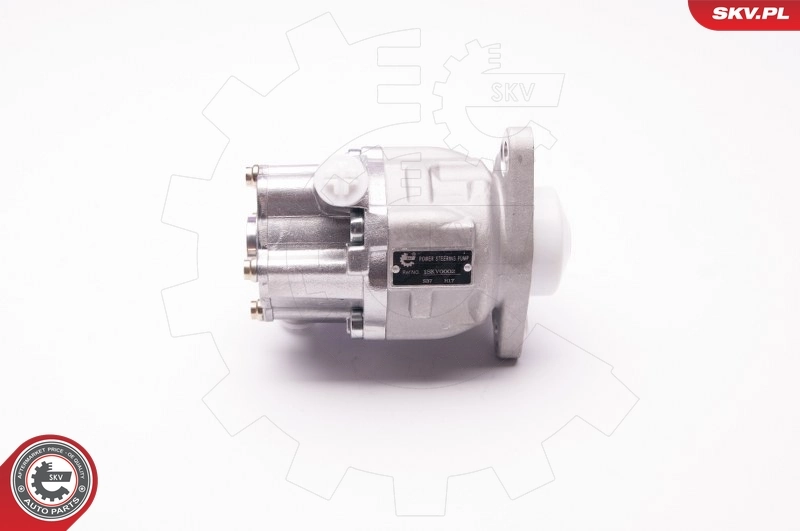 Hydraulic Pump, steering 1SKV0002