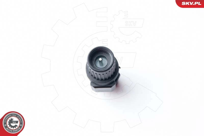 Sensor, speed 17SKV339