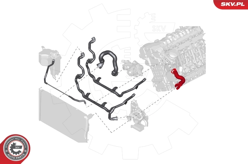 Radiator Hose 24SKV279