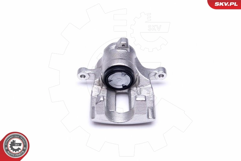 Brake Caliper 44SKV034