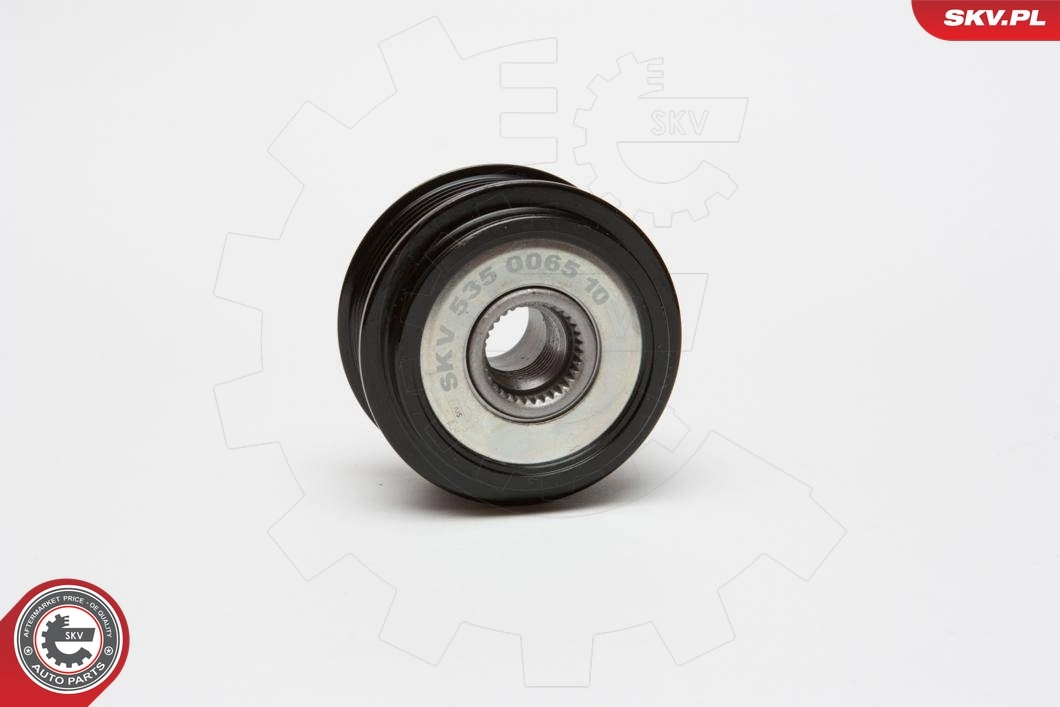 Alternator Freewheel Clutch 11SKV033