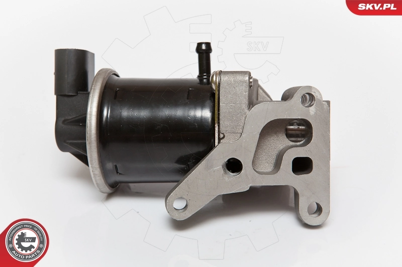 EGR Valve 14SKV074