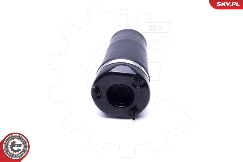 Air Suspension Strut 58SKV066