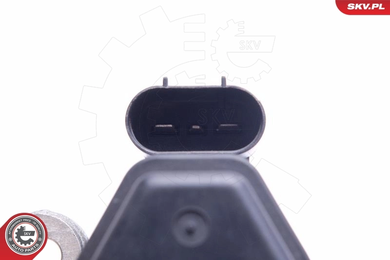 Brake Caliper 55SKV424