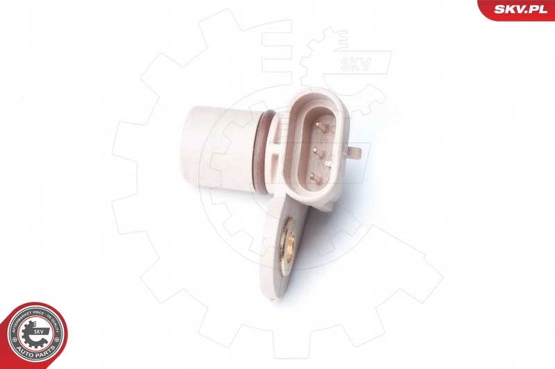 Sensor, camshaft position 17SKV246