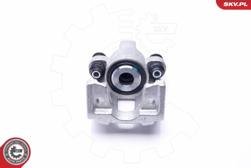 Brake Caliper 45SKV844
