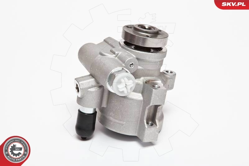 Hydraulic Pump, steering 10SKV089