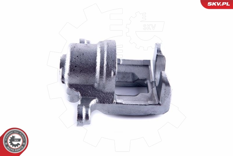 Brake Caliper 55SKV024