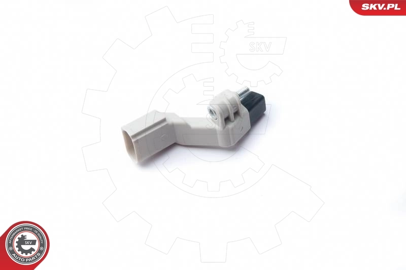 パルス発生器、クランクシャフト 17SKV272