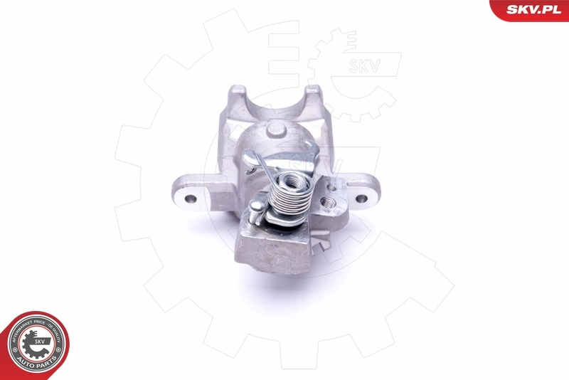 Brake Caliper 50SKV074
