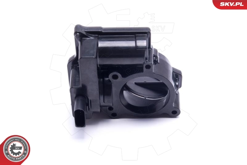 Throttle Body 12SKV107
