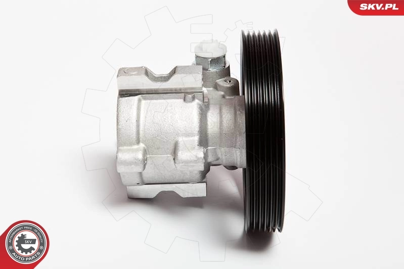 Hydraulic Pump, steering 10SKV002