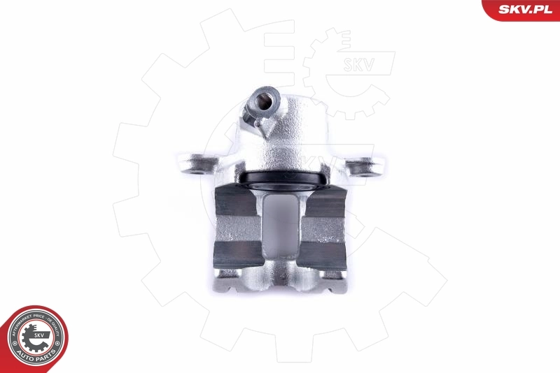 Brake Caliper 50SKV823