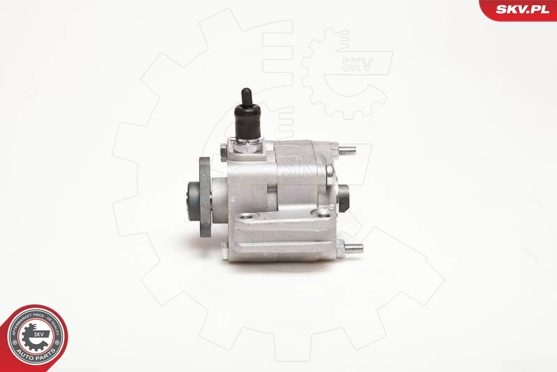 Hydraulic Pump, steering 10SKV109