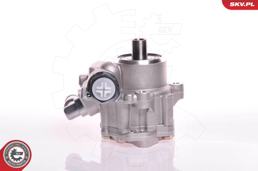 ESEN SKV 10SKV117 Hydraulic Pump, steering