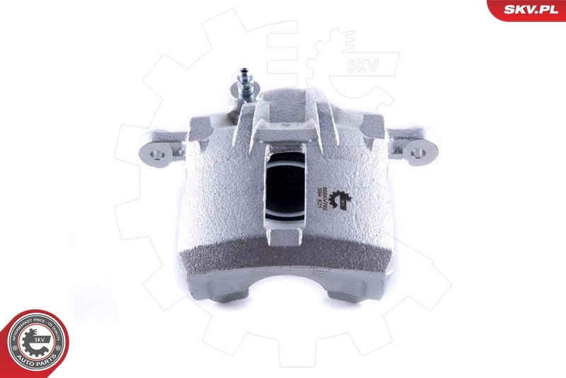 Brake Caliper 50SKV782