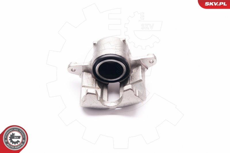 Brake Caliper 23SKV652