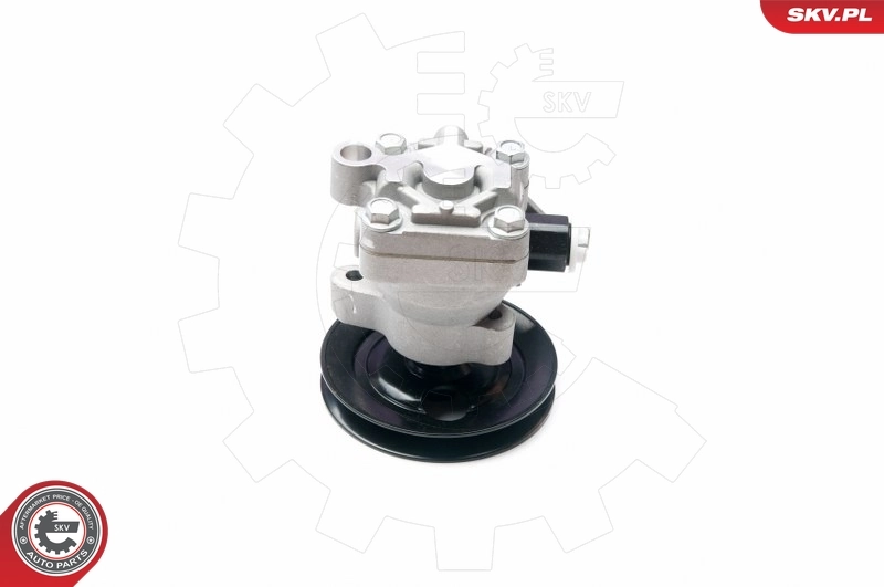 Hydraulic Pump, steering 10SKV204