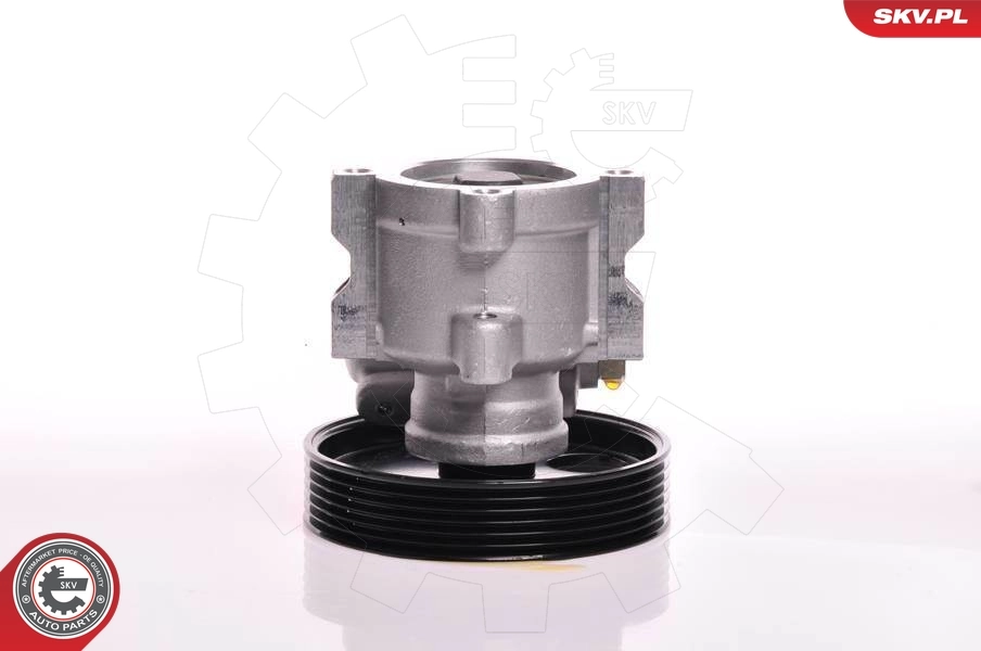 Hydraulic Pump, steering 10SKV013