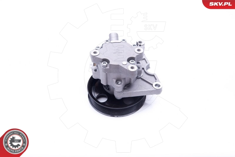 Hydraulic Pump, steering 10SKV271