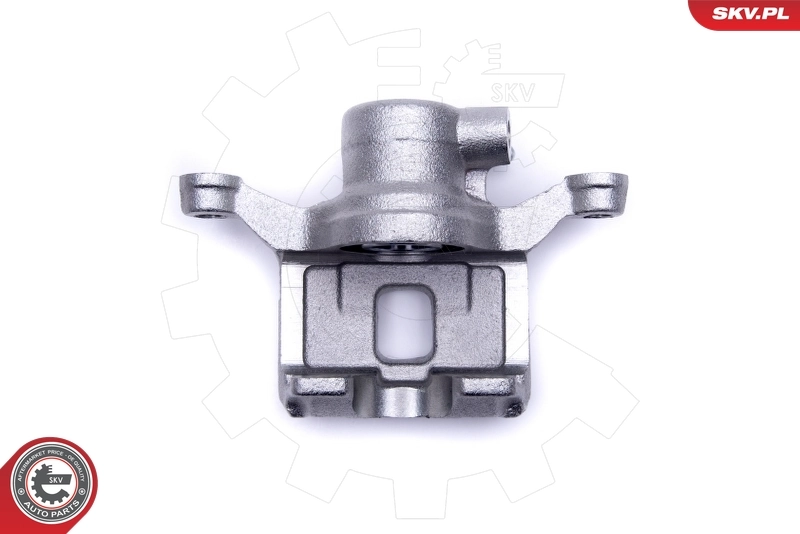 Brake Caliper 50SKV443
