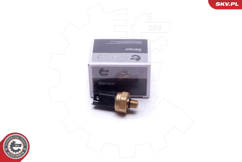 Sensor, fuel pressure 17SKV620