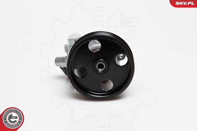 Hydraulic Pump, steering 10SKV024