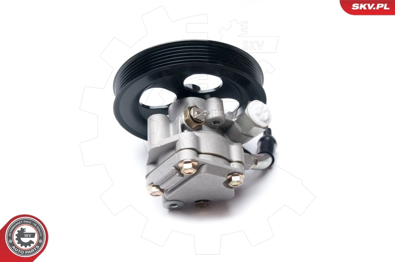 Hydraulic Pump, steering 10SKV216