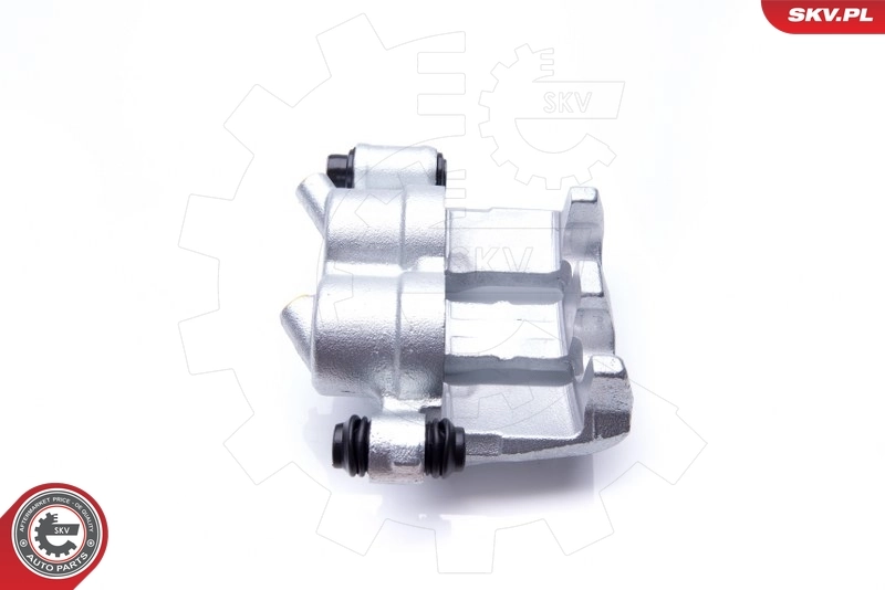 Brake Caliper 42SKV072