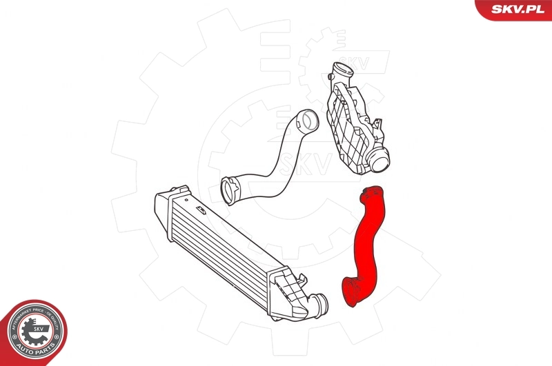 Charge Air Hose 43SKV237