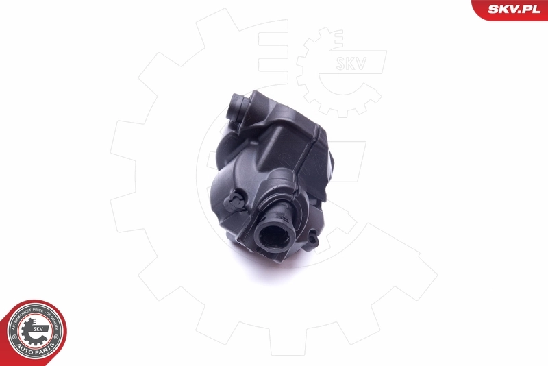 Oil Separator, crankcase ventilation 31SKV077
