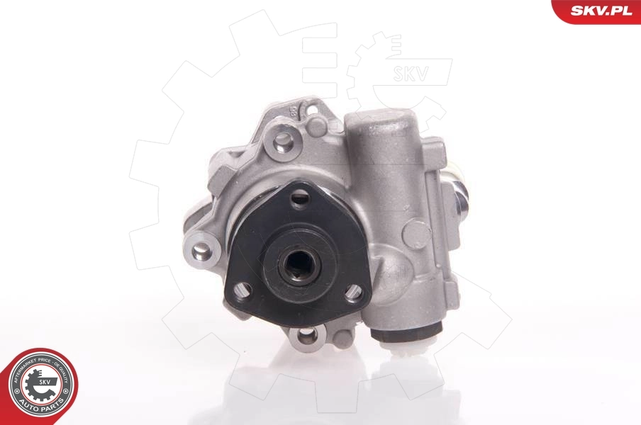 Hydraulic Pump, steering 10SKV145