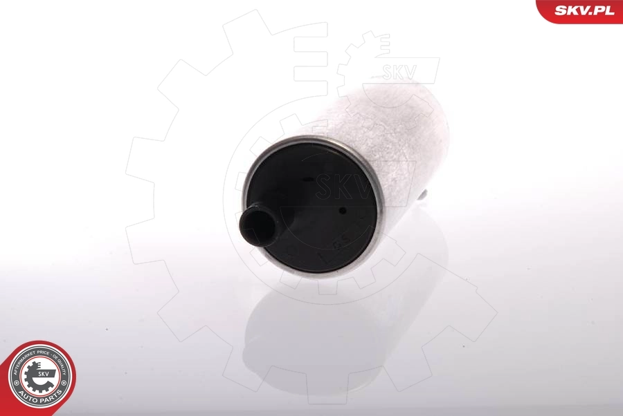 Fuel Pump 02SKV284