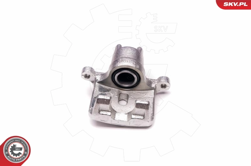 Brake Caliper 23SKV784